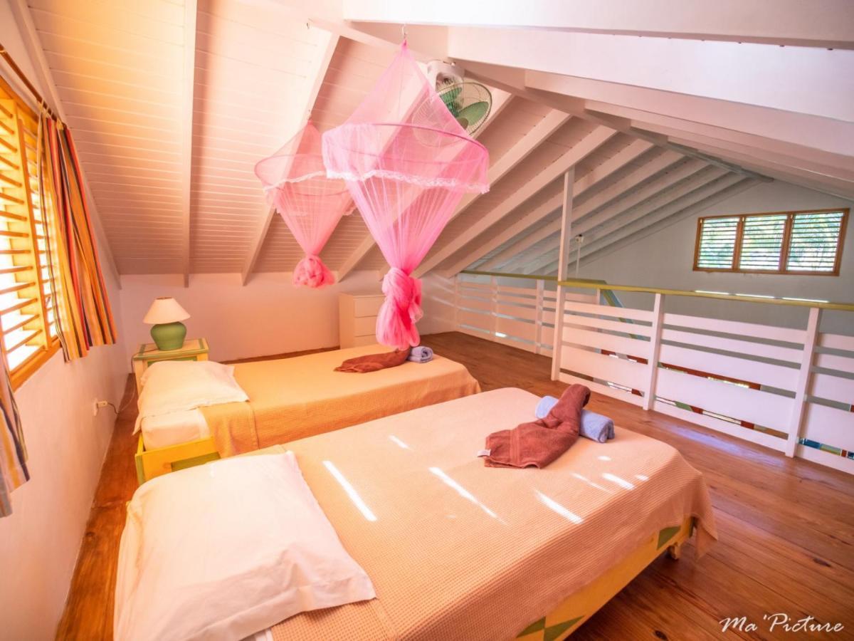Résidence Villas Les Hibiscus Las Terrenas Extérieur photo
