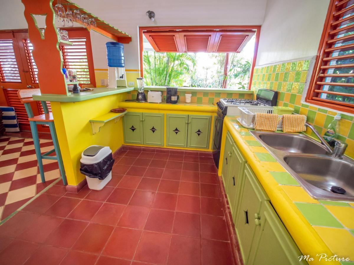 Résidence Villas Les Hibiscus Las Terrenas Extérieur photo